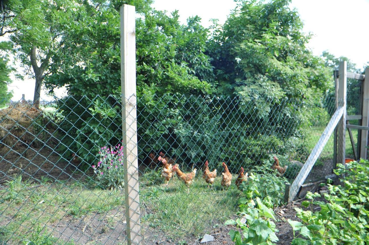 Ferienwohnung Landliebe 65347 Moormerland Dış mekan fotoğraf
