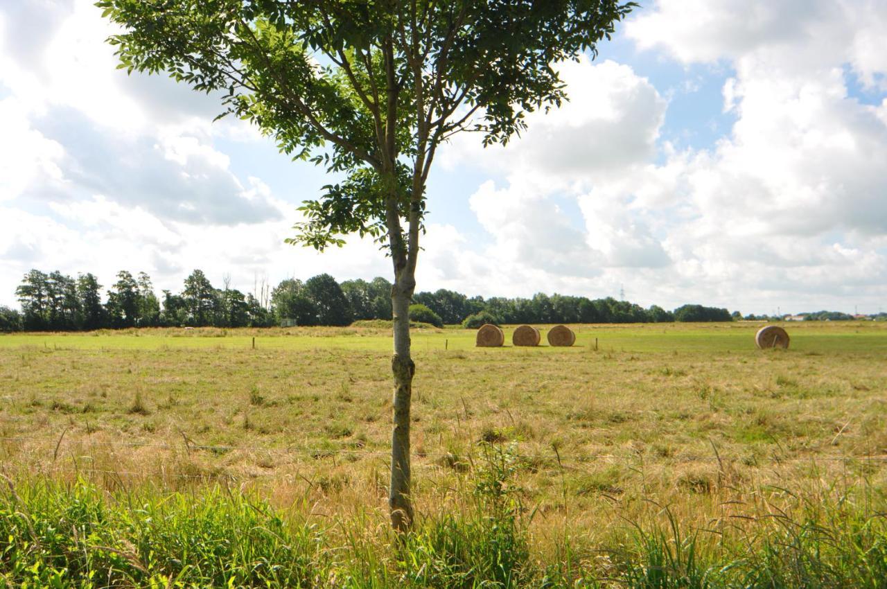 Ferienwohnung Landliebe 65347 Moormerland Dış mekan fotoğraf